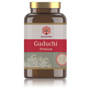 AYUGARDEN GUDUCHI 150 G